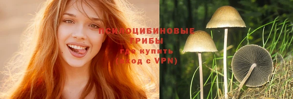 метадон Невель