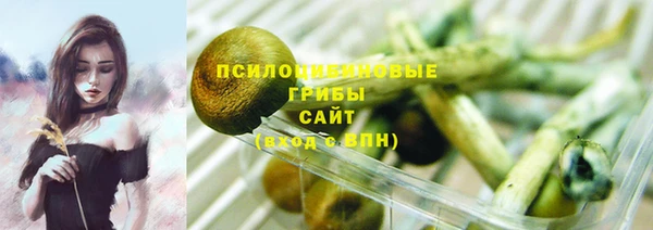 mdpv Козловка