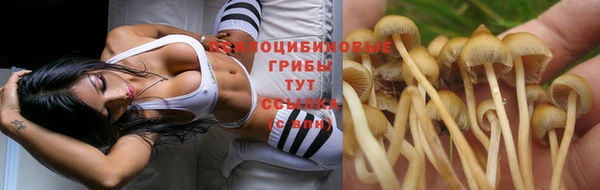 кокс Сосновка