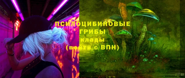 прущие крисы Невельск